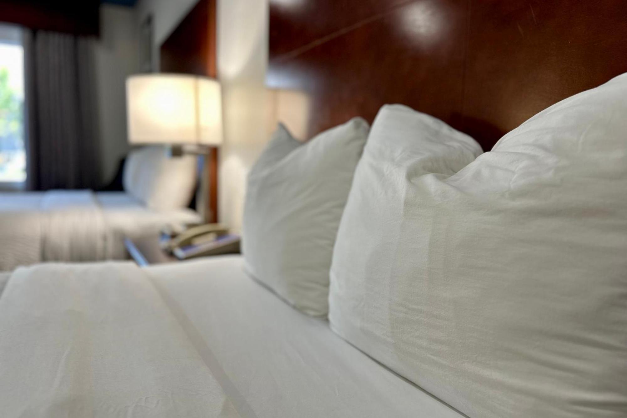 Hyland Inn Near Pasadena Civic Center מראה חיצוני תמונה